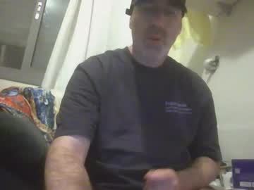 Profile of bibo84_99