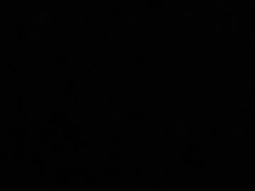 Profile of long_stroke_81