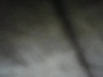 Profile of y98879
