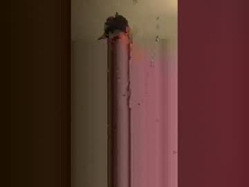 Profile of bottombumbutt