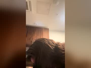 Profile of imhornybabyyes