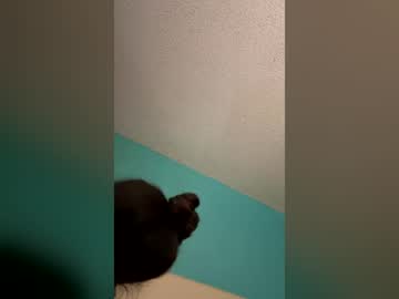 Profile of jamienavarro994
