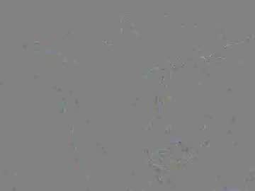 adoredava
