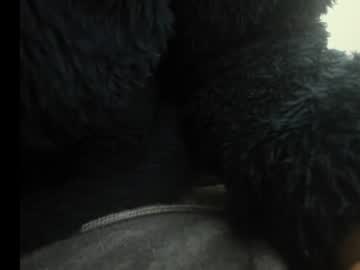 Profile of anal_latina_rousse