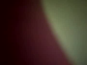 woodys_pov
