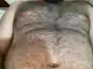 greekbibear