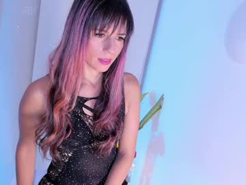 Steffy_Dan December 17, 2024 Chaturbate stream image
