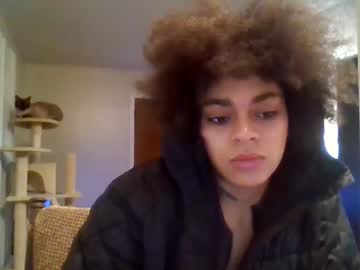 Stickydewbee December 17, 2024 Chaturbate stream image