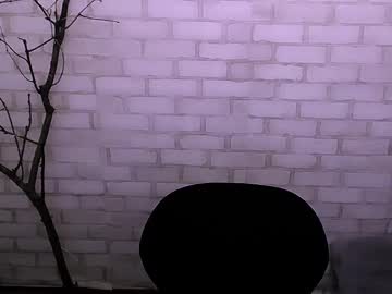 Scandinavian_Princess December 17, 2024 Chaturbate stream image