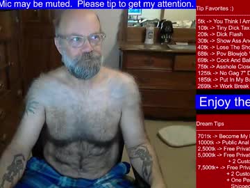 Hairydaddybear69 December 17, 2024 Chaturbate stream image