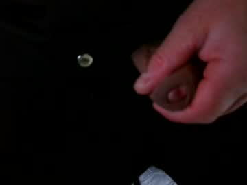 Porcinai December 17, 2024 Chaturbate stream image