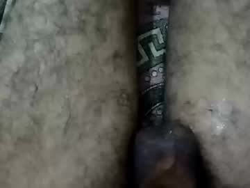 Samyhadefy December 17, 2024 Chaturbate stream image