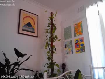 Somestonerchic December 18, 2024 Chaturbate stream image