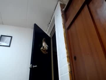 Maturehornyxxxx December 18, 2024 Chaturbate stream image