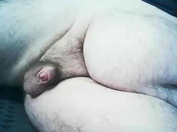 Polylove77 December 18, 2024 Chaturbate stream image
