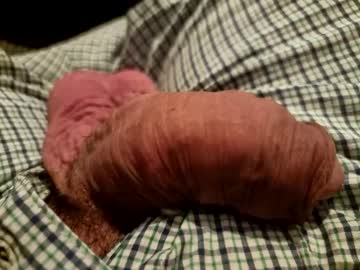 Preotu December 18, 2024 Chaturbate stream image