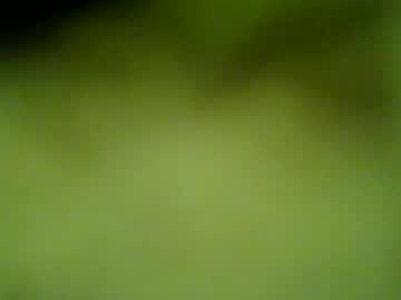 Darrenrider December 18, 2024 Chaturbate stream image