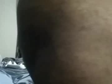 Bullshittin December 19, 2024 Chaturbate stream image