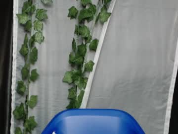 Ebonydripxx December 19, 2024 Chaturbate stream image