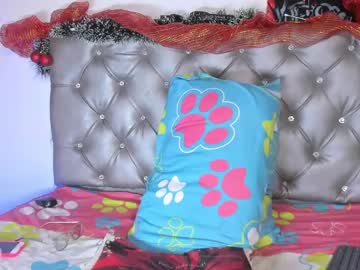 Sweethnohemy December 19, 2024 Chaturbate stream image