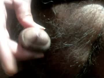 Willstrok December 19, 2024 Chaturbate stream image