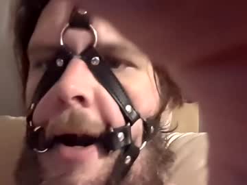Dirtydogsday December 19, 2024 Chaturbate stream image