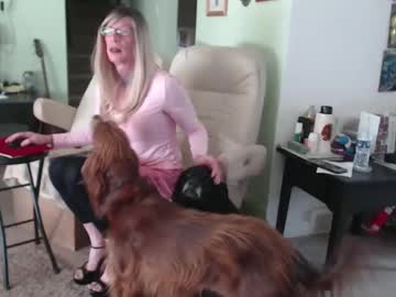 Sab69 December 19, 2024 Chaturbate stream image