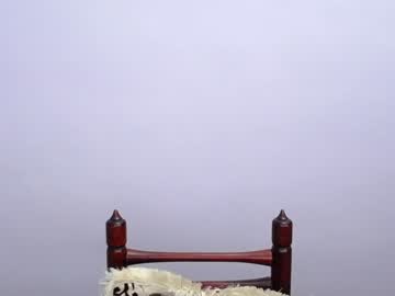 Minato_Kabuki December 19, 2024 Chaturbate stream image