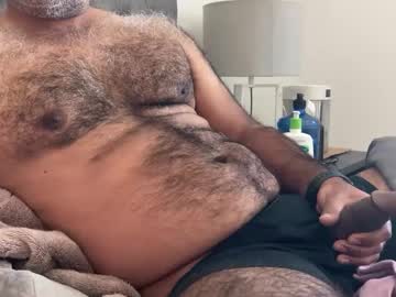 Wildhungry December 19, 2024 Chaturbate stream image