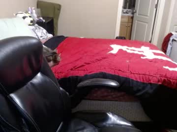 Bne69 December 19, 2024 Chaturbate stream image