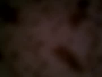 Riffraffrackus December 19, 2024 Chaturbate stream image