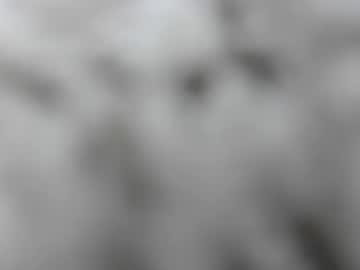 Yessimua December 20, 2024 Chaturbate stream image