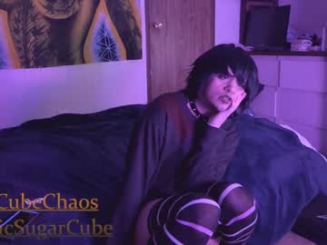 Chaoticsugarcube December 21, 2024 Chaturbate stream image