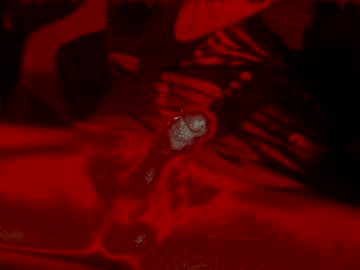 Feelinghardup December 21, 2024 Chaturbate stream image