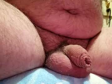Pigglywiggly918410 stream photo from December 21, 2024