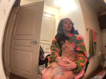 Lustforlola December 21, 2024 Chaturbate stream image