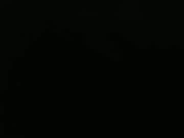 Forestnymphpdx December 21, 2024 Chaturbate stream image