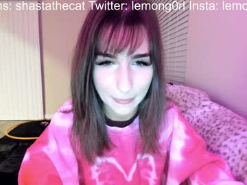 Shastathecat December 21, 2024 Chaturbate stream image