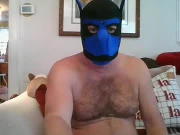 Falconbator8 December 21, 2024 Chaturbate stream image