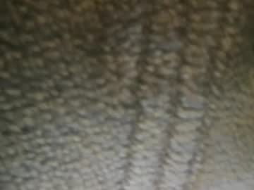 Like2lick94 December 21, 2024 Chaturbate stream image