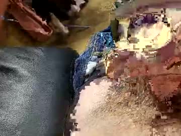 Jimbobuk23 December 21, 2024 Chaturbate stream image