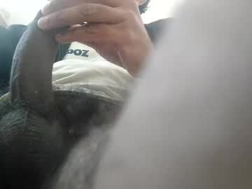 Palatco December 21, 2024 Chaturbate stream image