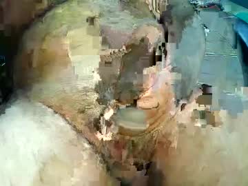 Djordjela December 21, 2024 Chaturbate stream image