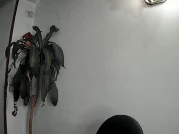 Evacollins12 December 22, 2024 Chaturbate stream image