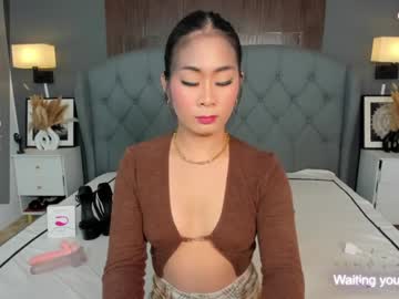 Ayesha_Palvin stream photo from December 22, 2024