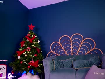 Surfergirl121 December 22, 2024 Chaturbate stream image