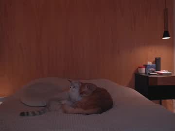 Onelittlemermaid December 22, 2024 Chaturbate stream image