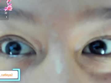 Isaflores14 December 22, 2024 Chaturbate stream image