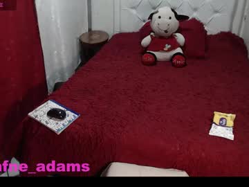 Dafneeadamss December 23, 2024 Chaturbate stream image