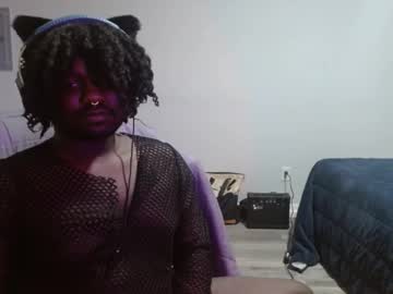 Himbobryson December 23, 2024 Chaturbate stream image